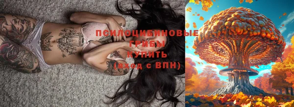 мяу мяу мука Алексеевка