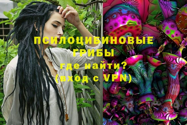 мдпв Алексин