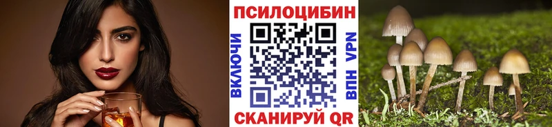 Псилоцибиновые грибы Psilocybe  Красногорск 